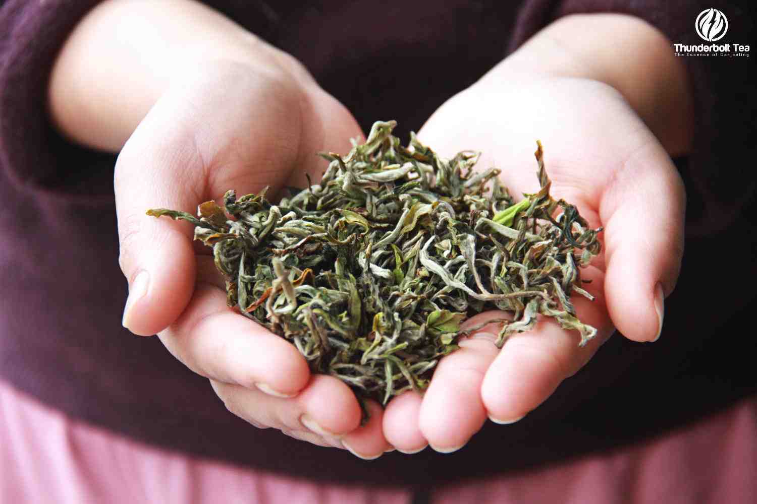 8 Surprising Health Benefits of Darjeeling Tea you need to know