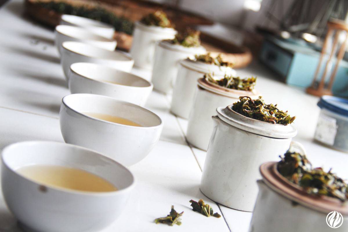 do not under steep tea