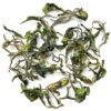 Giddapahar Jade Wonder, Darjeeling First Flush Tea