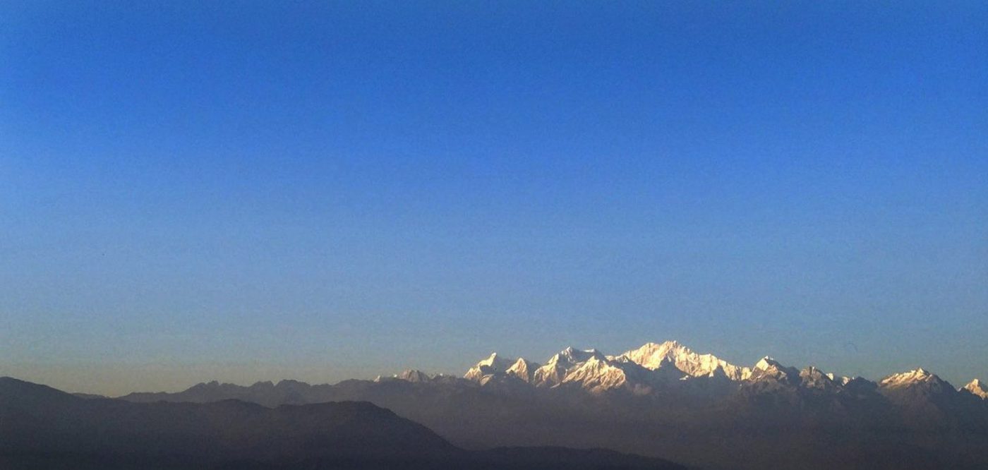 Tea Affiliate Program