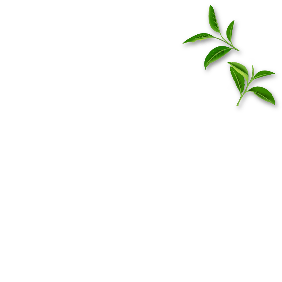 tea leaf background