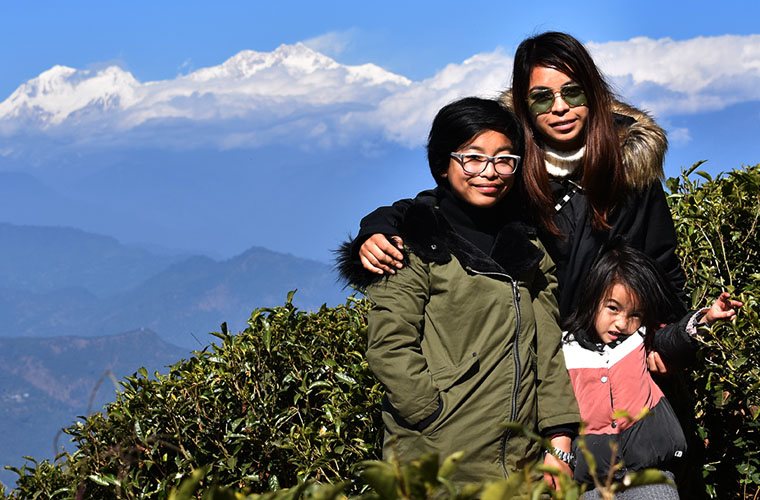 Best Darjeeling Tea Brand and Tea Company