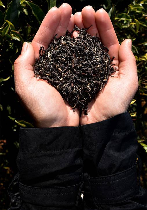 tea shop summer tea online