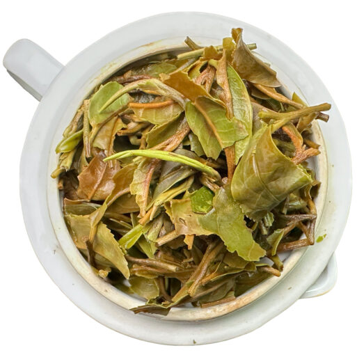 Barnesbeg Tea 2025 First Flush Darjeeling