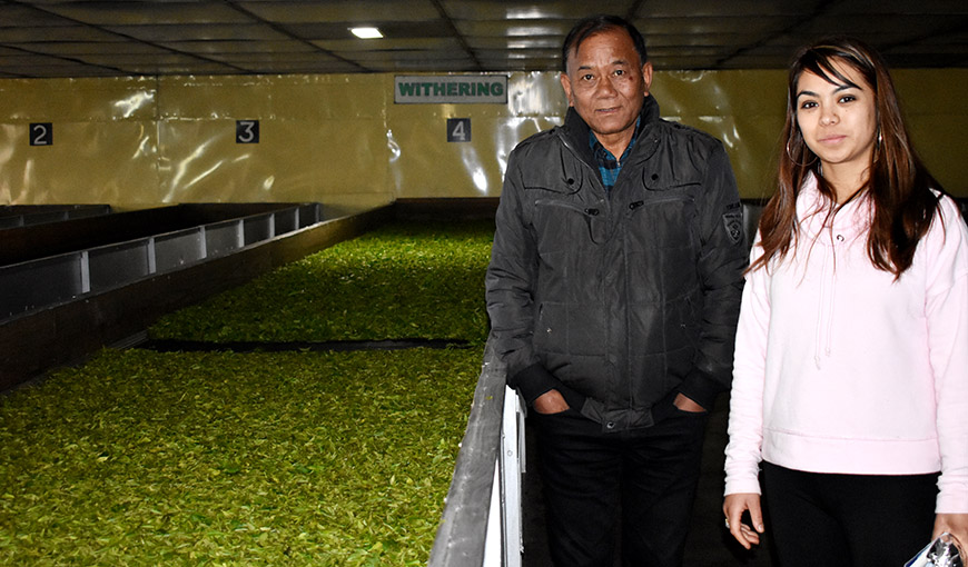 D B Gurung - Castleton Moonligt Tea maker