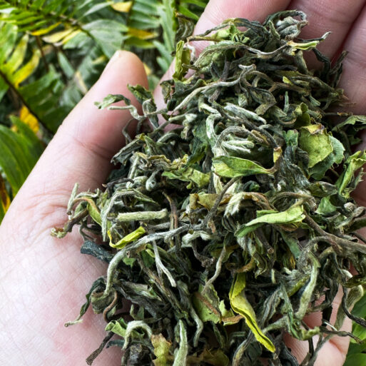 Arya King Diamond Tea, First Flush Darjeeling