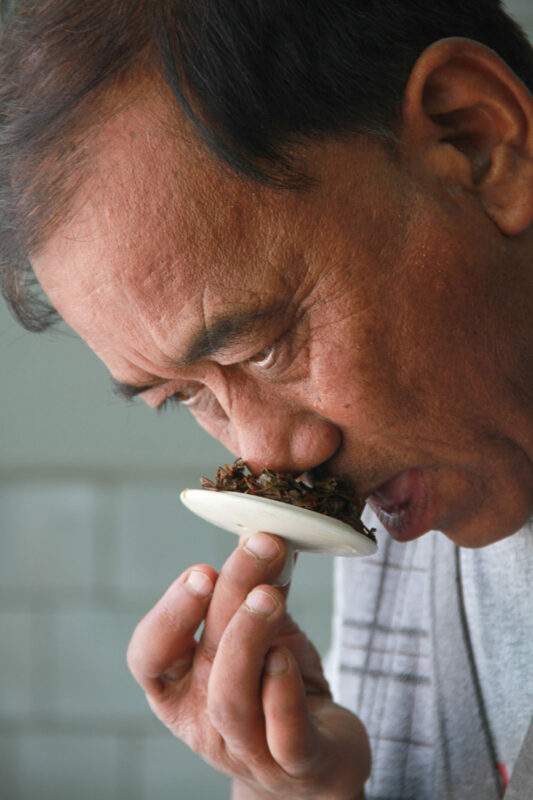 Castleton Tea Master - Mr DB Gurung