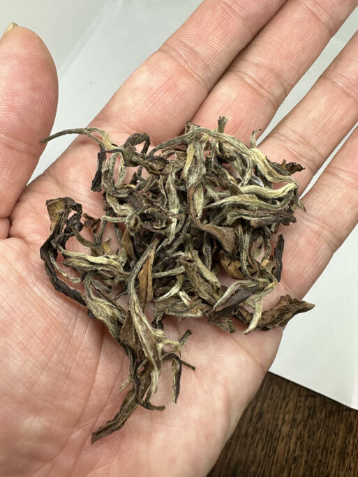 Phuguri Silver Moon in hand