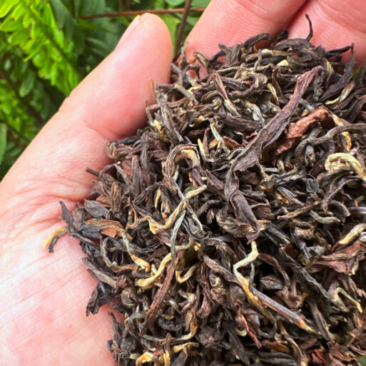 Turzum Enigma Darjeeling Tea