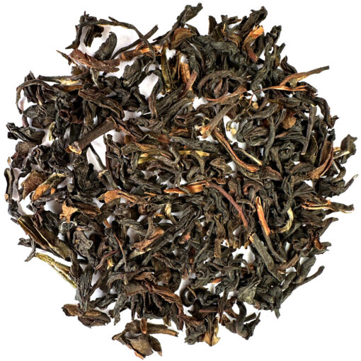 Okayti Darjeeling GTae