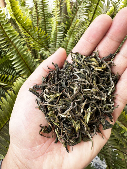 Risheehat First Flush Darjeeling 2025 Tea