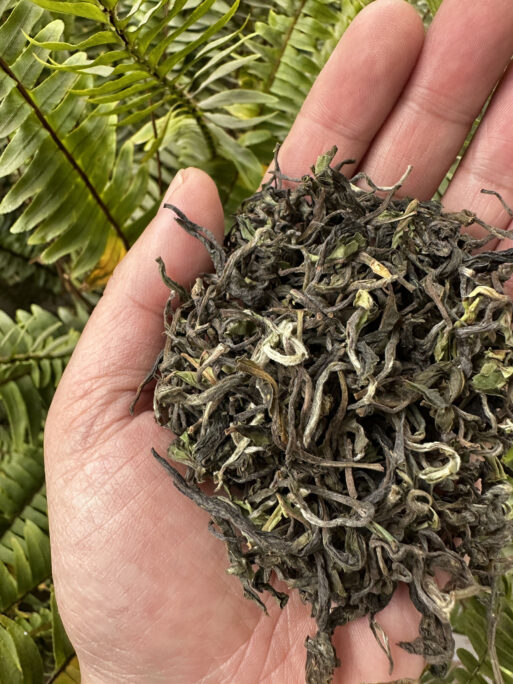 Turzum Enigma First Flush