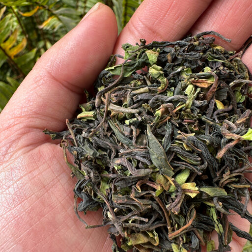 Arya Tea Estate Darjeeling Tea