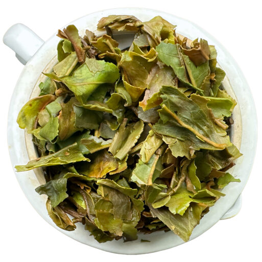 Arya Tea Estate Darjeeling Tea