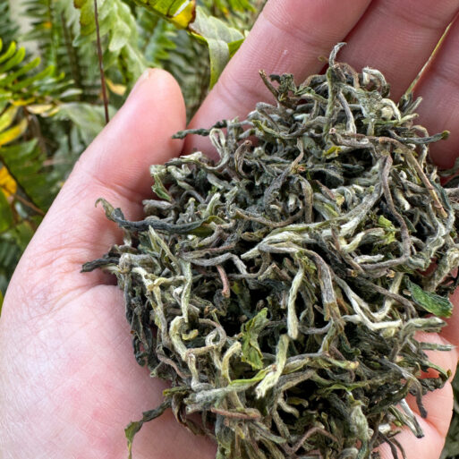 Puttabong Darjeeling Tea First Flush