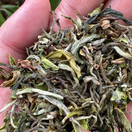 Margaret's Hope Tippy Clonal First Flush Darjeeling Tea