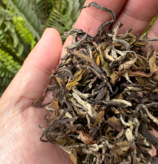 Arya Moonbeam Golden