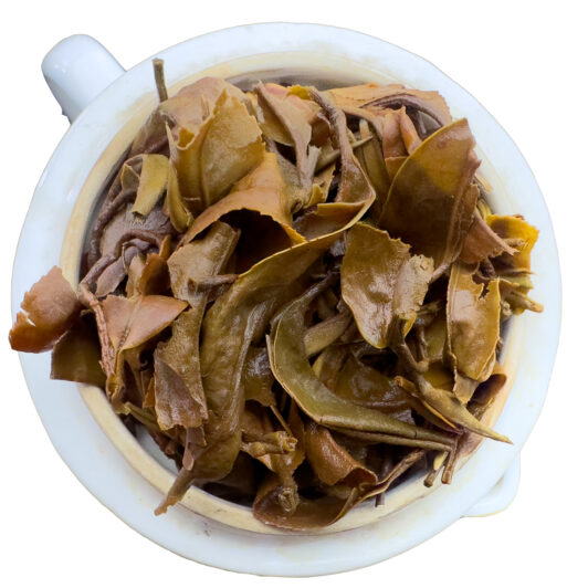 Arya Moonbeam Golden