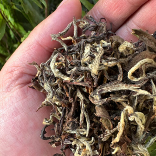 Arya Diamond Tea Darjeeling Second Flush - King Gold Edition