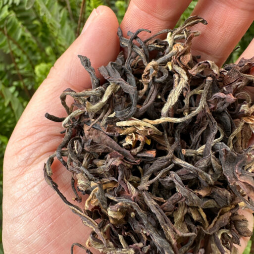 Barnesbeg Darjeeling Tea