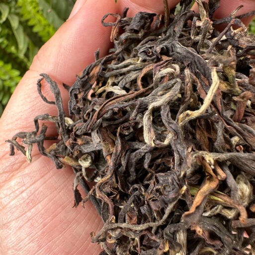 Castleton Jade Oolong Tea, Darjeeling