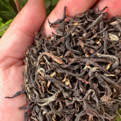 Castleton Muscatel Darjeeling Tea