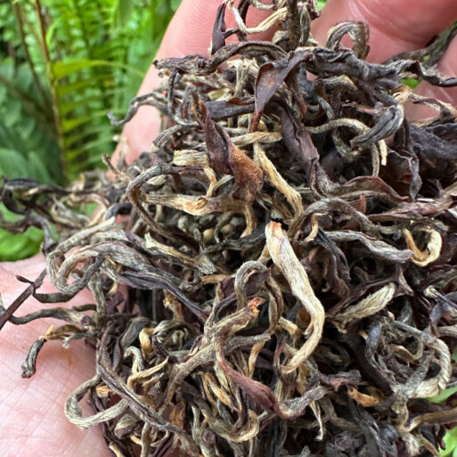 Margaret's Hope Black Diamond