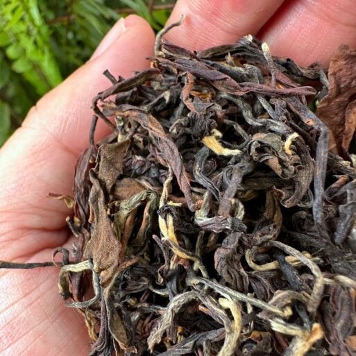 Puttabong Tea, Second Flush Darjeeling