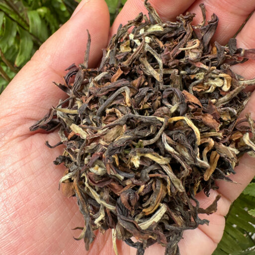 Thurbo Tippy Clonal, Second Flush Darjeeling Tea