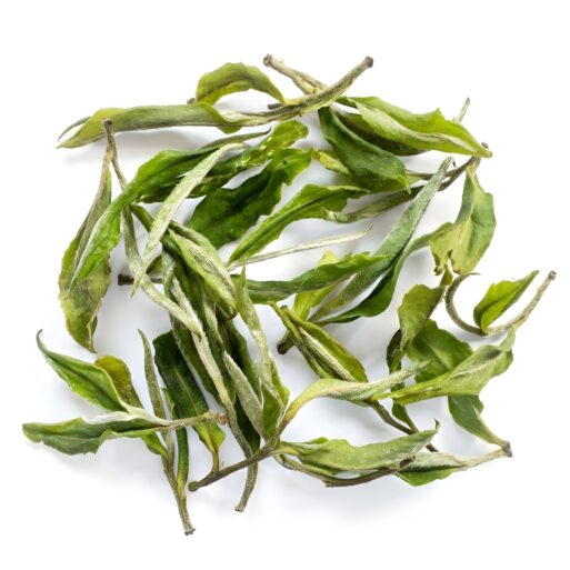 Arya Pearl White Tea Darjeeling