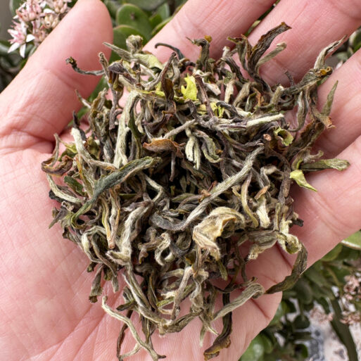 Arya Spring Elixir Tea, Darjeeling First Flush 2026