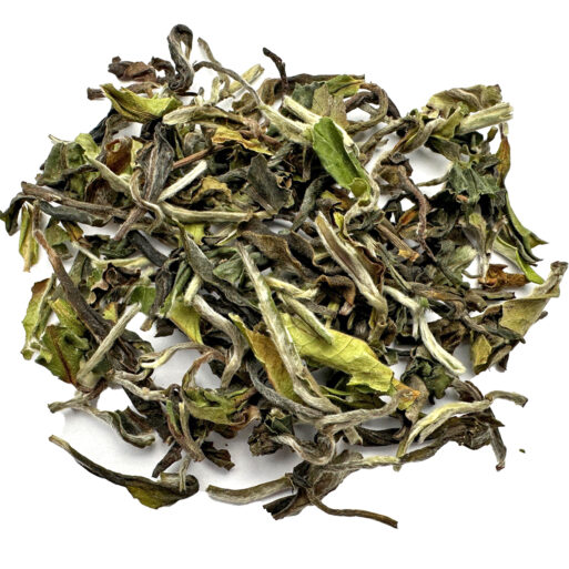 Badamtam Himalayan Spring Tea - First Flush 2026