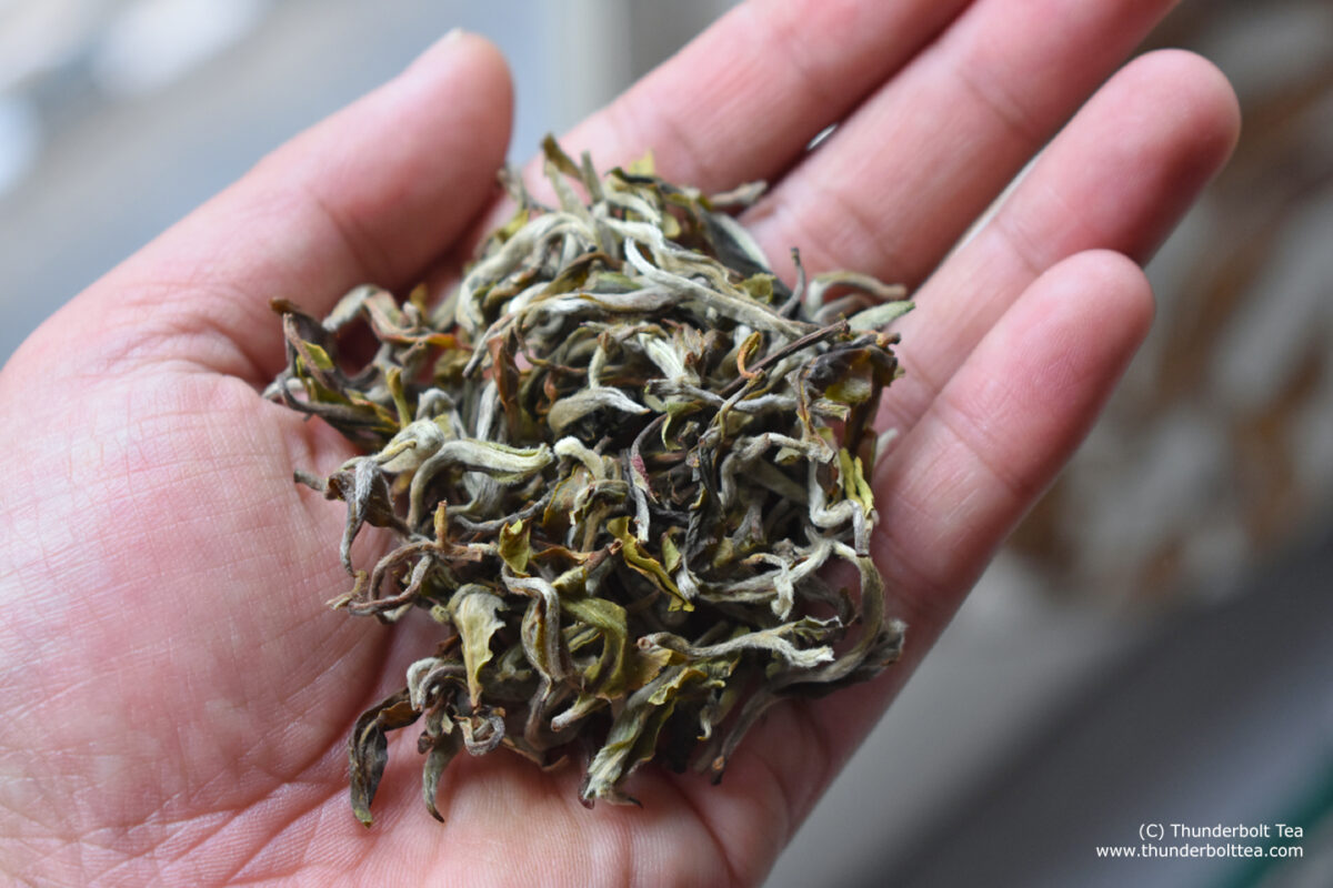 Darjeeling Tea First Flush - Thunderbolt Tea