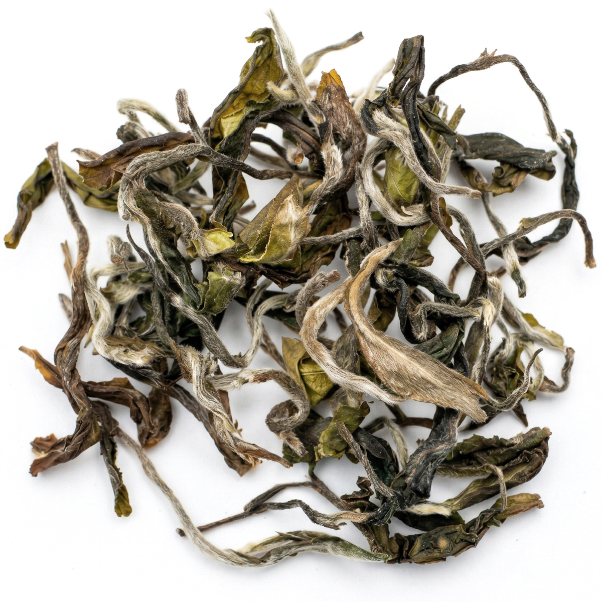 Darjeeling Sungma First Flush Tea
