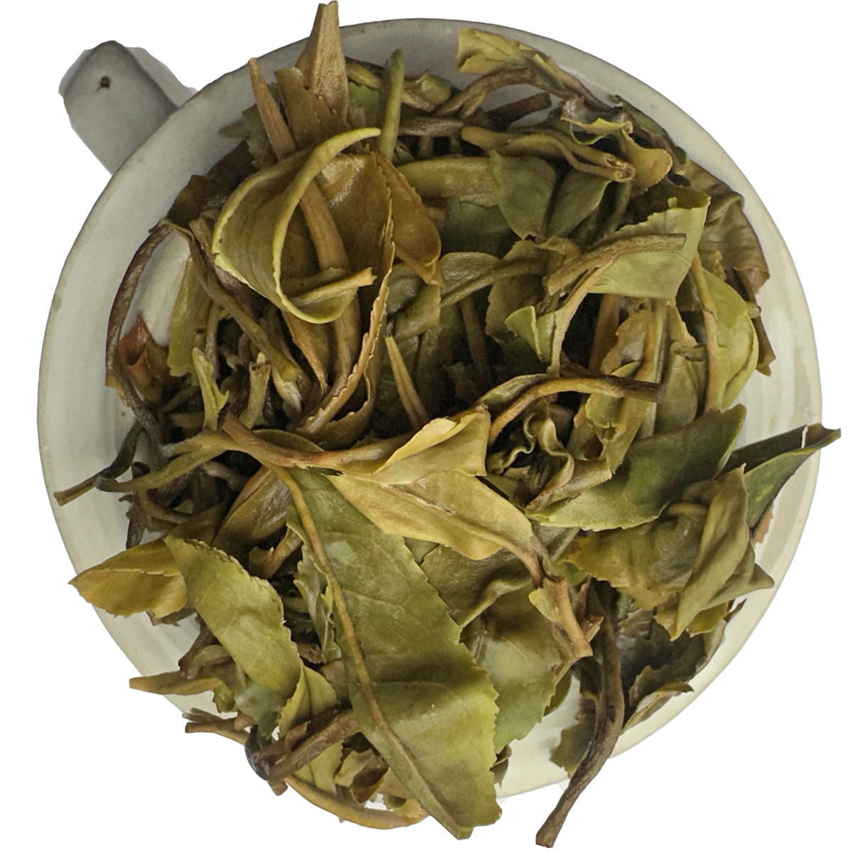 Thurbo Darjeeling Tea - Black Thunder, First Flush - infusion, wet leaves